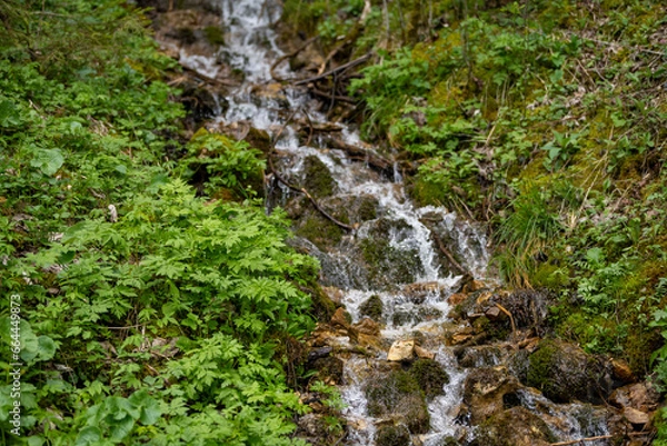 Obraz waterfall in the forest