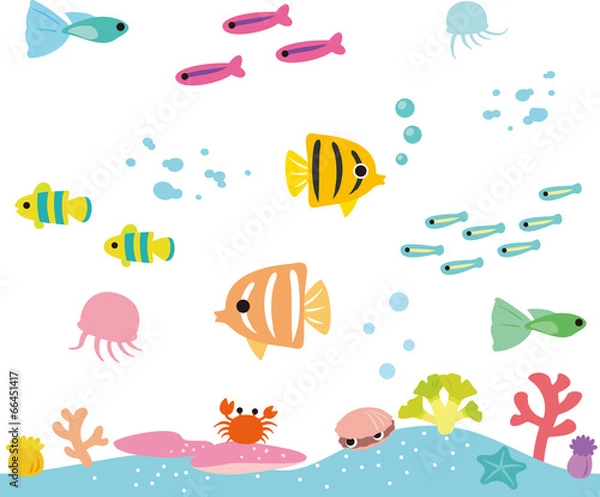 Fototapeta 熱帯魚とサンゴの海