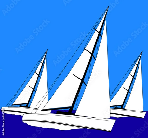 Obraz sailing
