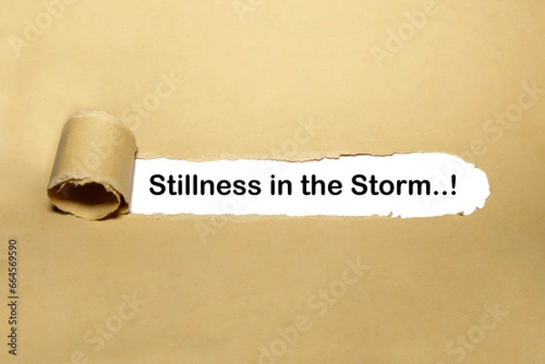 Obraz Stillness in the storm