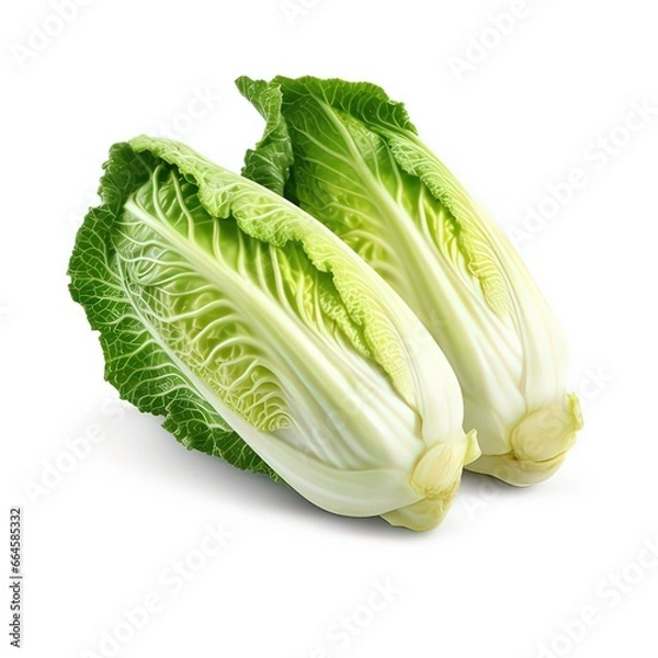 Fototapeta chinese cabbage