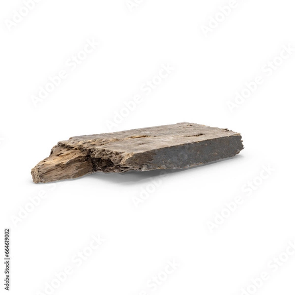 Obraz Texture tree bark podium showcase