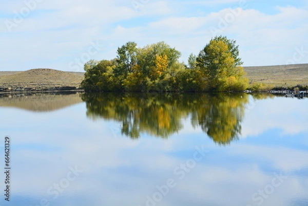 Obraz Trees reflecting on the water
