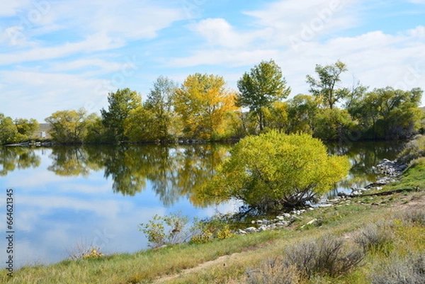Obraz Water reflecting trees