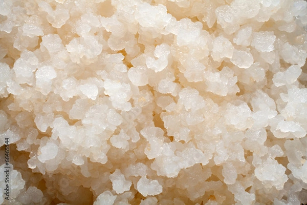 Obraz Water kefir grains