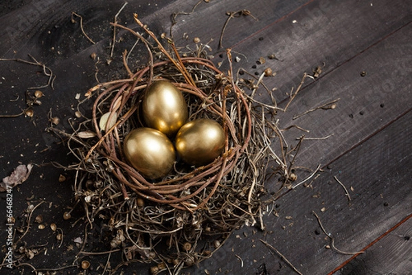 Obraz Złote jajka w gnieździe