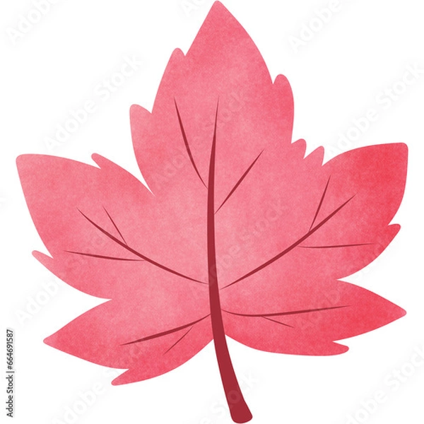 Fototapeta Pink maple leaf