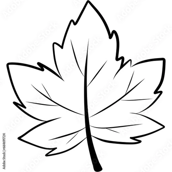 Fototapeta  leaf