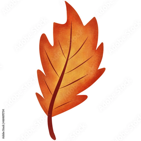 Fototapeta red maple leaf