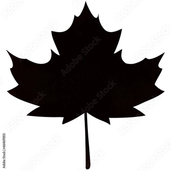 Fototapeta Black maple 