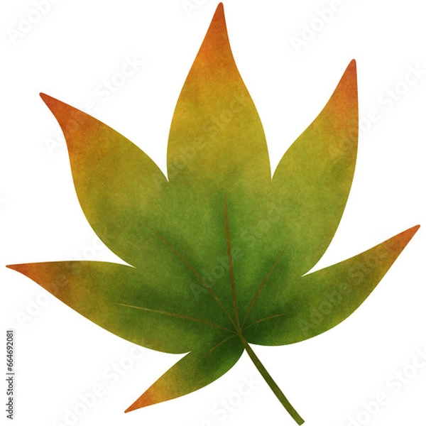 Fototapeta Green Leaf