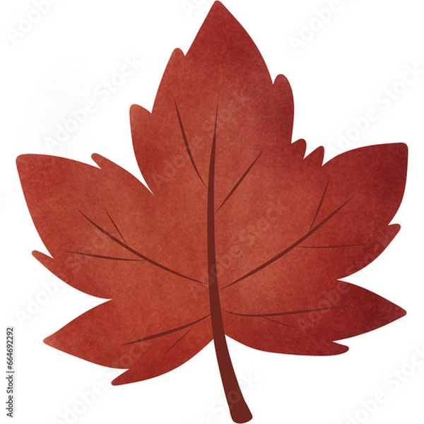 Fototapeta red maple leaf