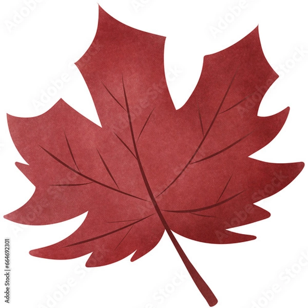 Fototapeta red maple leaf