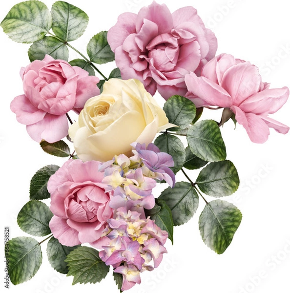 Obraz Pink and ivory roses isolated on a transparent background. Png file.  Floral arrangement, bouquet of garden flowers. Can be used for invitations, greeting, wedding card.