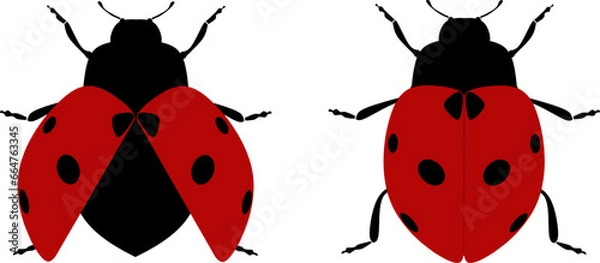 Fototapeta ladybug silhouette and vector ustration design