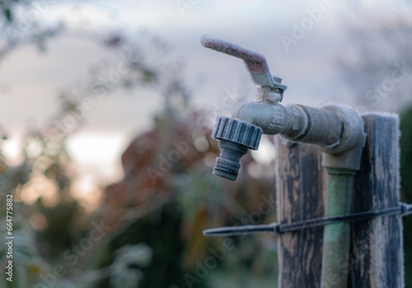 Fototapeta Frost on the garden tap in the early morning. Garden water tap.