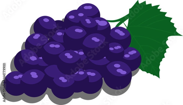 Fototapeta silhouette and vector illustration design of grapes