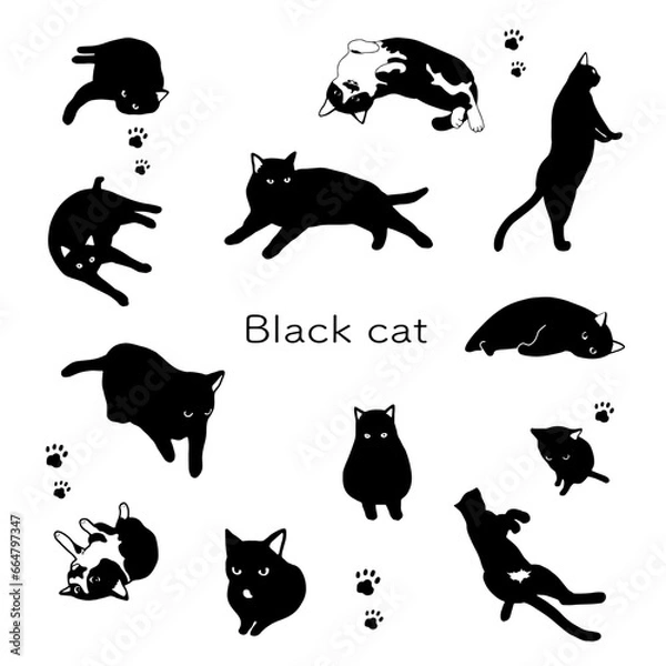 Obraz 黒猫のシルエットイラスト素材