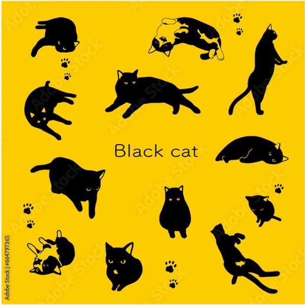 Obraz 黒猫のシルエットイラスト素材