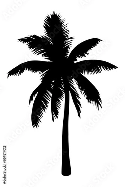 Fototapeta Palm tree silhouette isolated on white background. Vector Illustration.