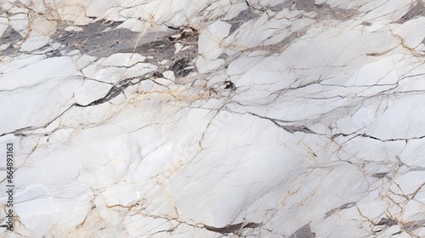 Obraz Explore the beauty of natural stone with marble texture.
