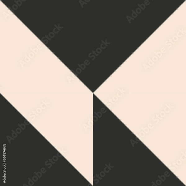 Obraz Geometric Pattern Vector