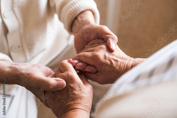 Fototapeta Happy old couple at home