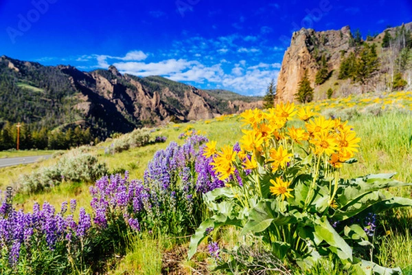 Obraz Narodowy Park Yellowstone
