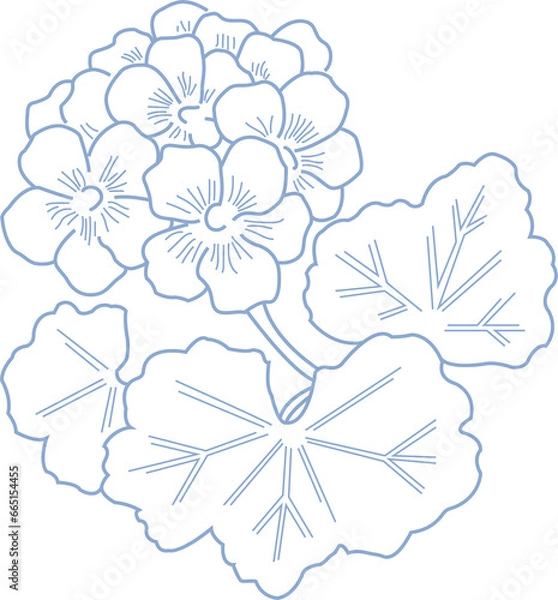 Obraz Baby Blue Geranium Flower Illustrations