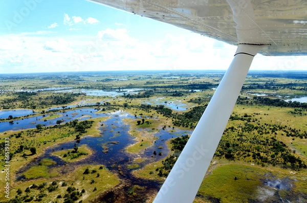 Fototapeta Okavango delta