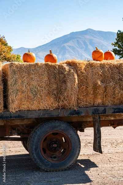 Obraz Pumpkins Hitching a Ride