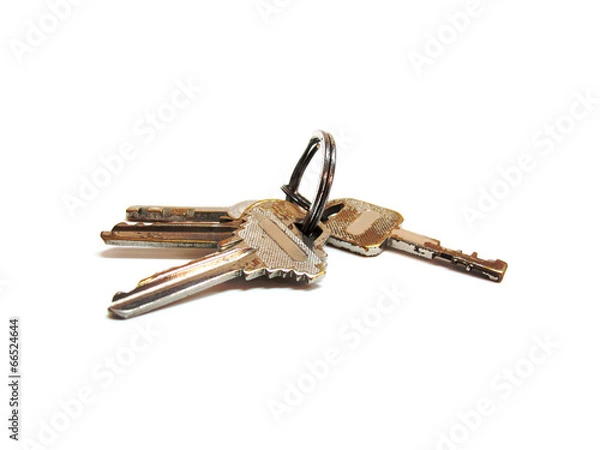 Obraz keys on white background
