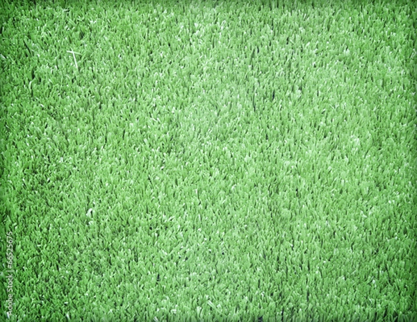 Obraz Artificial grass