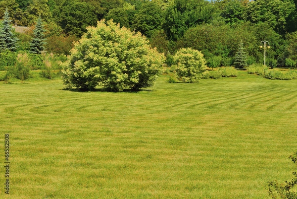 Fototapeta Летний пейзаж