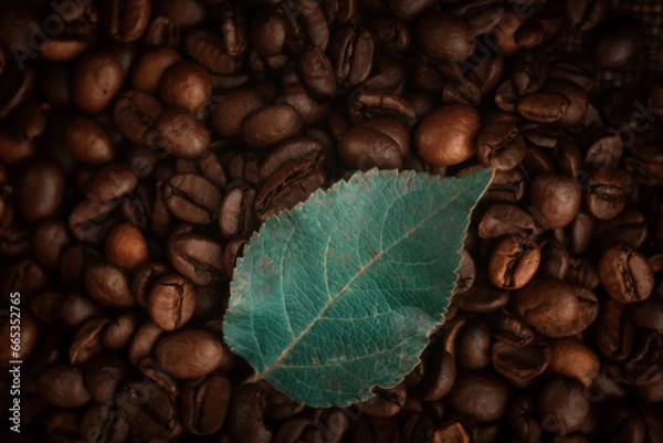 Fototapeta Roasted coffee beans and green leaf