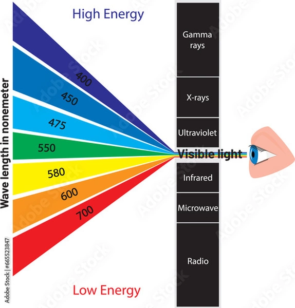 Obraz light spectrum and visible light