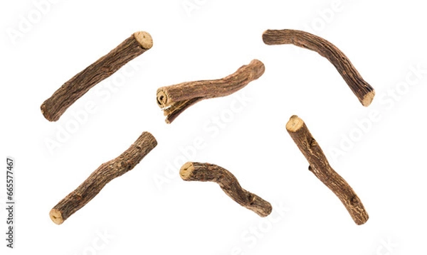 Obraz Liquorice roots on transparent background. PNG image.