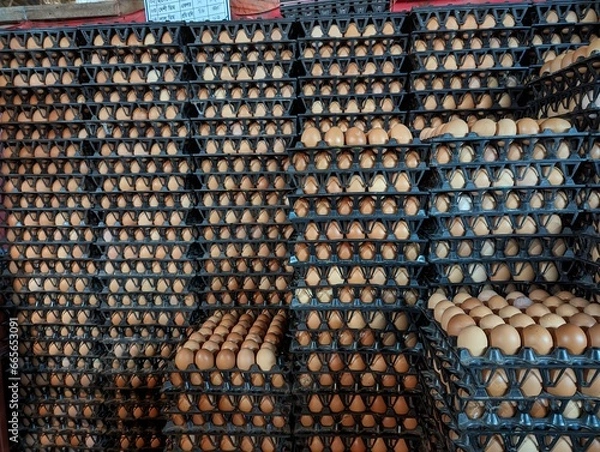 Obraz Chicken eggs in the trolley, are eggs that are ready to be hatched into the hatchery.