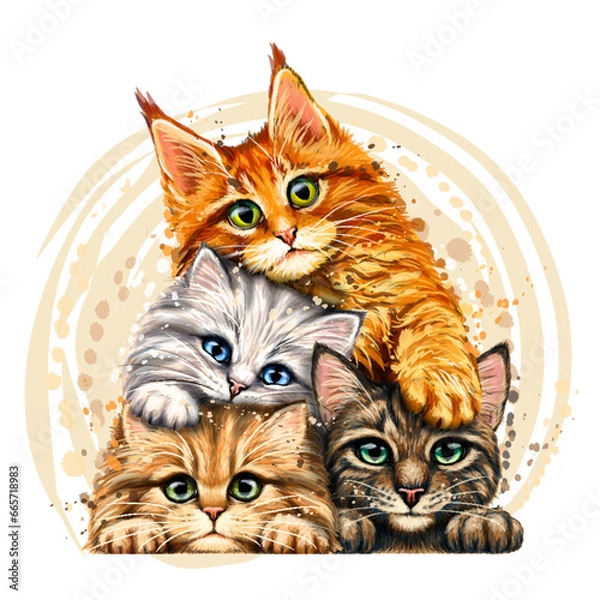 Fototapeta Graphic, color portrait of kittens in watercolor style on a white background. 