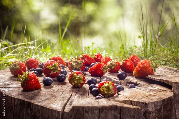 Obraz Blueberry and strawberries on wood in nature