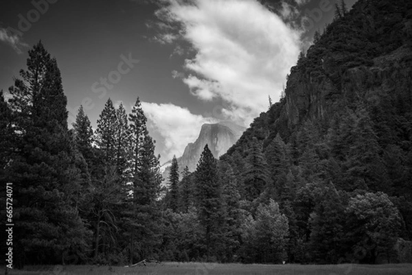 Obraz Yosemite