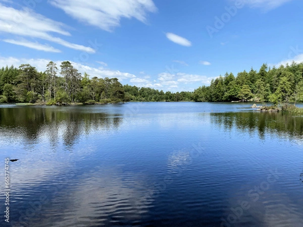 Fototapeta A view of the Lake District at High Dam Tarn near Windermere