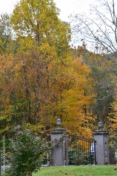 Fototapeta Leaves changing in the mountains
