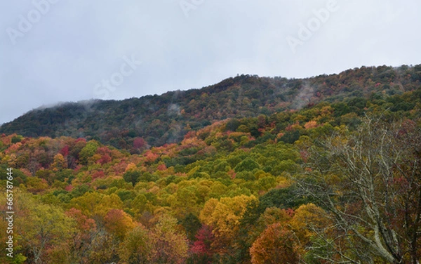 Obraz Leaves changing in the mountains