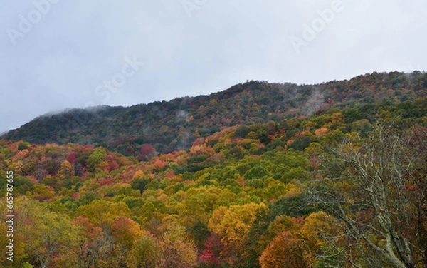 Fototapeta Fall in the Carolina