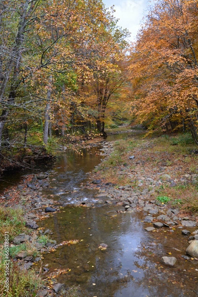 Obraz Water in the fall