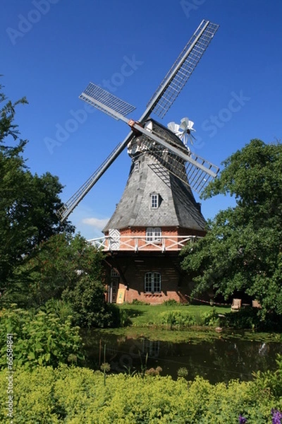 Obraz Mühle am Teich