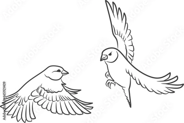 Fototapeta Sparrow illustration vector silhouette design