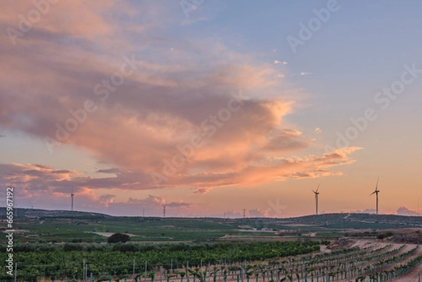 Fototapeta Renewable Harmony: Vineyard and Windmills at Dusk