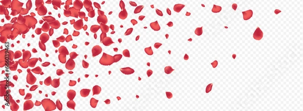 Obraz Red Rose Japan Vector Panoramic Transparent